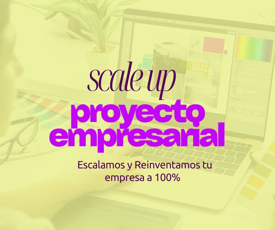 SCALE UP PROYECTO EMPRESARIAL