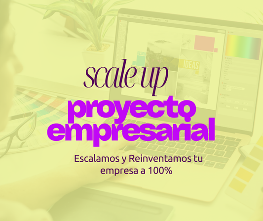 SCALE UP PROYECTO EMPRESARIAL